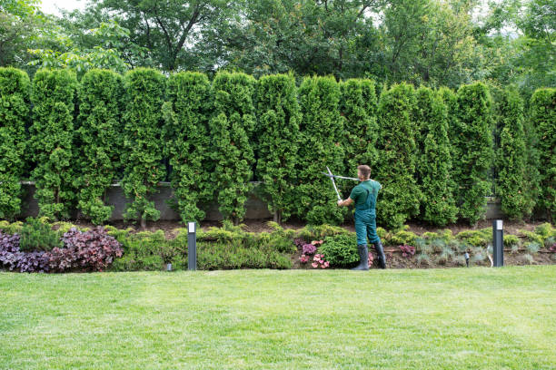 Best Lawn Pest Prevention  in Bakerstown, PA