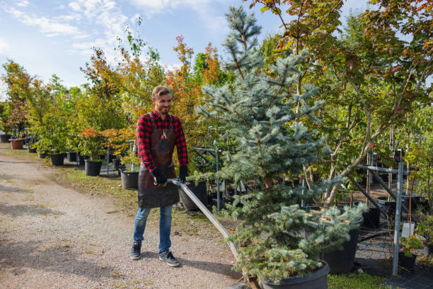 Best Tree Mulching  in Bakerstown, PA